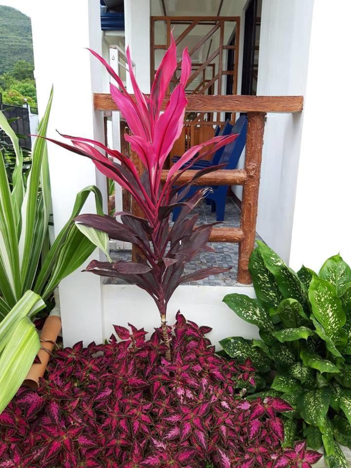 Bella Vita Guest House Coron Zewnętrze zdjęcie